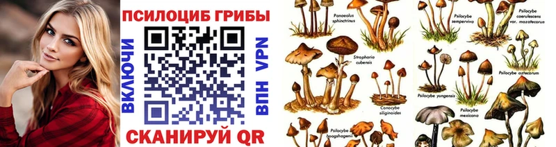 Псилоцибиновые грибы GOLDEN TEACHER магазин продажи наркотиков Правдинск